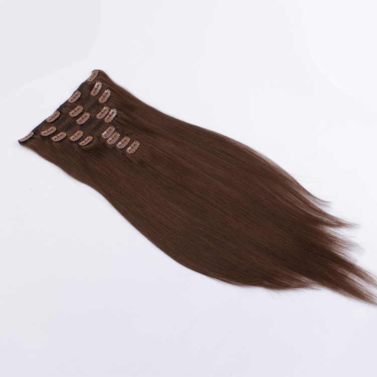 Long affordable clip in hair extensions real humanvirgin remy hair clip ins SJ0074